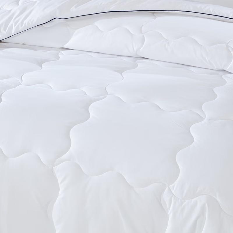 Mengjie Suxin All-Season Down Alternative Comforter