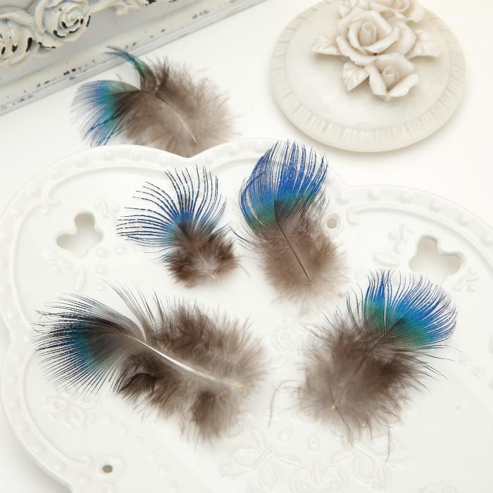 50Pcsdiy Jewelry Accessories Feather Diy Feather Headdress Corsage Hat Shoes Handicrafts Decorative Materials