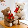 Rose Bear Plush Toy Cute Teddy Bear Holding Flower Bouquet Soft Stuffed Animal Gift for Valentine's Day