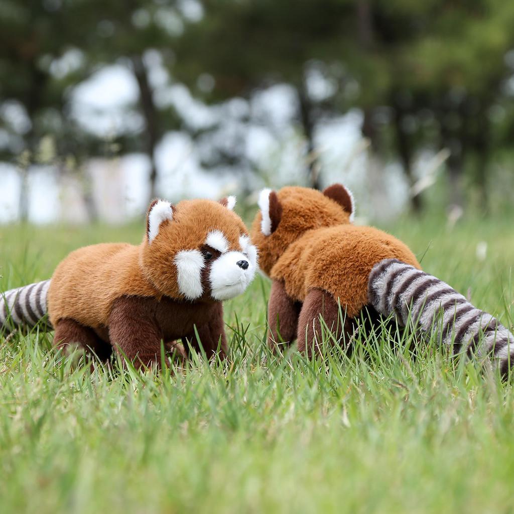 Panda Raccoon Red Animal Plush Fluffy Exterior Children Room Decoration Comfort