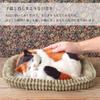 Ninian and Kino Perfect Pet (Small) Calico Cat (Brown) Plush Toy, Realistic, Lifelike, Animal, Soothing, Moving, Perfect Gift, Celebration Gift, Cute