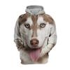 Herren 3D-Druck Hund Hoodie Hoodie für Herbst und Winter Ist Modisch, Vielseitig und Bequem Hoodies & Sweatshirts (Herren)