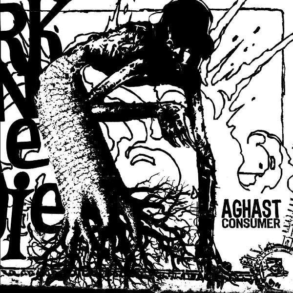 

CD ALEXANDER KIPNIS Alexander Kipnis Sings Lieder CD661 MUSIC ARTS 1991 US Classical Used