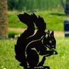 Squirrel Metal Garden Post Decoration Charming Animal Art for Yards and Fences, Stylish Ground Ornaments and Garden Stake