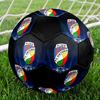 SIZE 5 FC Viktoria Plzeň Soccer Ball Colorful All Ages Machine Stitched PVC Competition Ready Durable High-Bounce