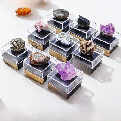 Natürliche Kristall- und Mineralienprobenbox – Rohsteinfossil als wissenschaftliches und pädagogisches Geschenk für Kinder