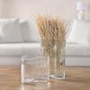 Hestia Clear Ribbed Glass Vase - Large