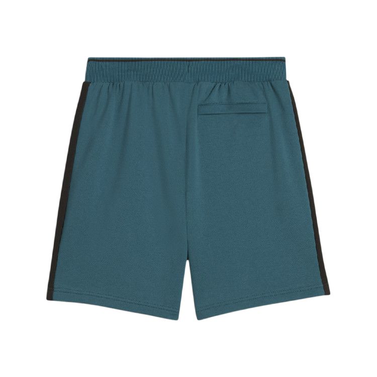 Puma Casual Shorts Men's Cold Light Green Moderate 628457-22