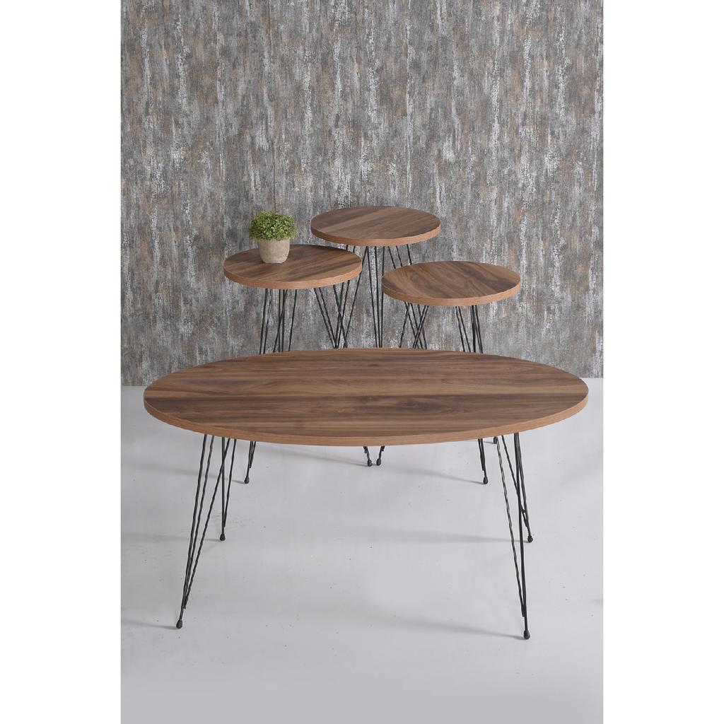Center Table And Nesting Table Walnut Set Wire Leg Ellipse
