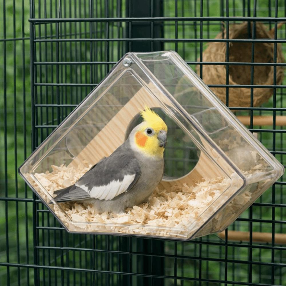 Practical Transparent Parakeet Nesting Box Visible Breathable Bird Breeding Box Odor Resistant with Perch Bird Cage House Aviary