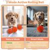 Cross-Border E-TPU Dog Toy Ball with Random Bouncing & Rotating Functions