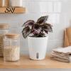 Small Planters for Hoya Cuttings Self Watering Plant Pots Indoor Plants, with Water Level Indicator, Clear Propagation Containers Carnivorous
