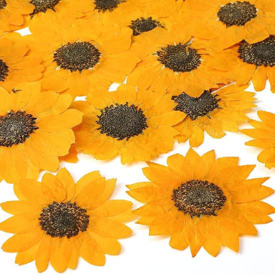Roowest 24 Pcs Dried Pressed Flowers for Resin Fall Dried Sunflowers Dried Sunflower Petals for Jewelry Candle Soap Making DIY Art Craft Scrapbooking