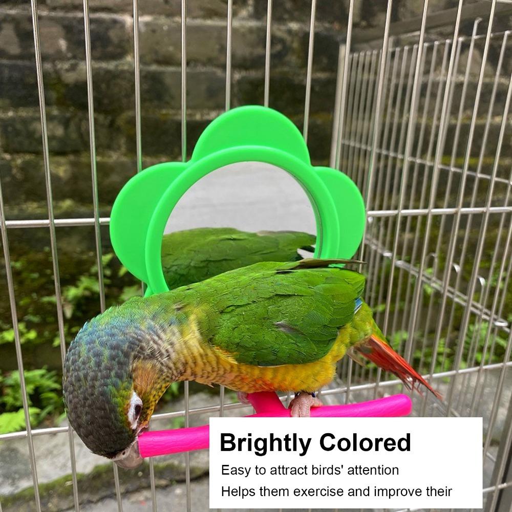 Acrylic Material Parrot Mirror Stand Toy Plastic Material Hanging Bird Mirror Toy For Budgie