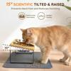 Cat Food Bowls with Wooden Stand 2 Stainless Steel Bowls for Cats Elevated Cat Bowls Pet Feeder 15° Tilted Raised