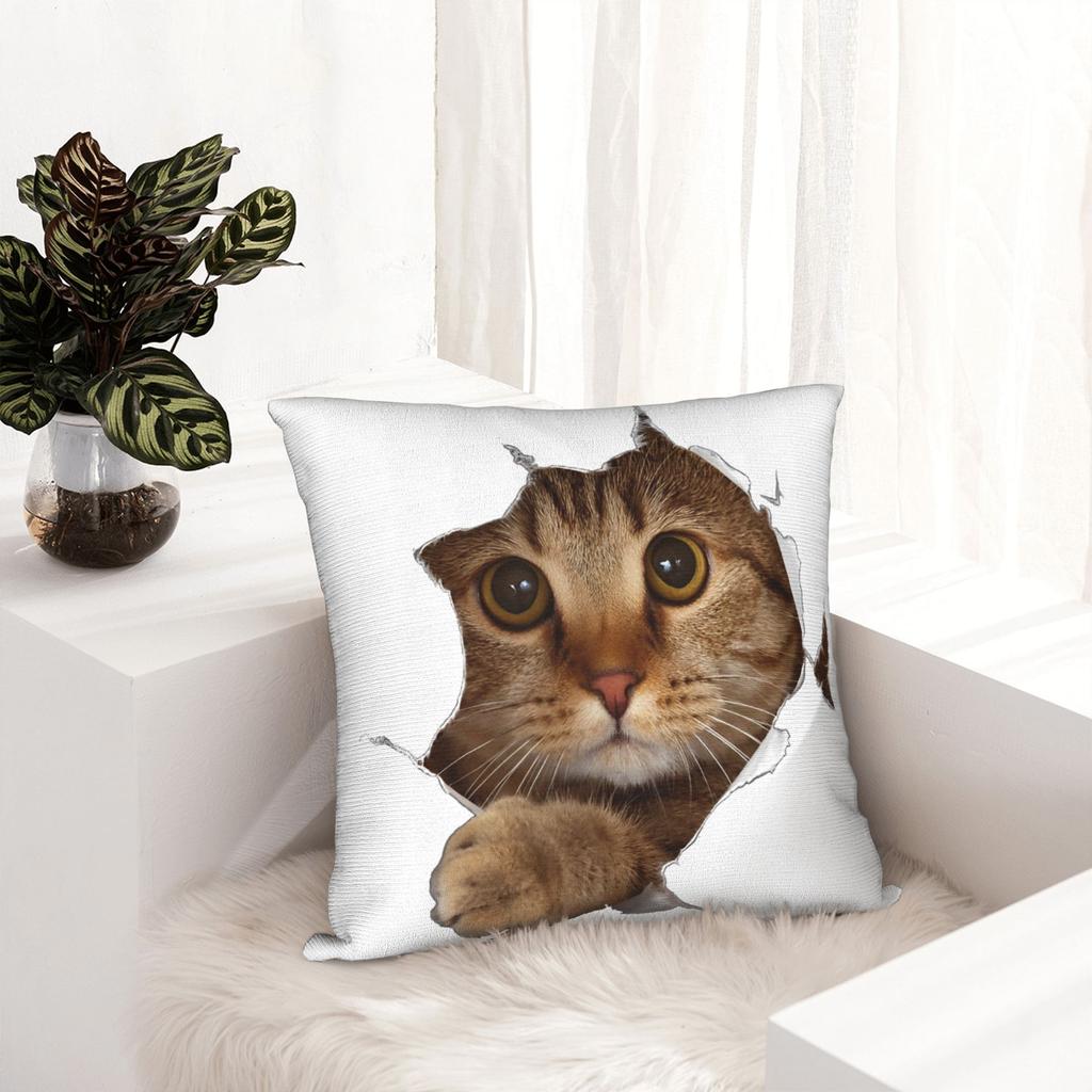 Sweet Kitten Torn Cloth Cat Lover Cat Owner Cat Lady Pillowcase Cushion Cover Decorations Throw Pillow Case Cover Home Zipper