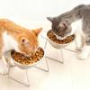 Elevated Pet Bowl Stainless Steel Raised Cat Bowl Tilted Pet Bowl with Removable Stand Cute Ears for Cats Dogs Neck Protection