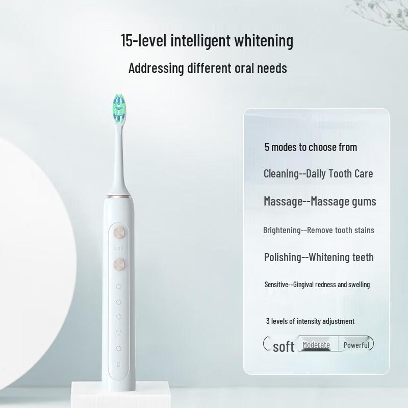 Superman RT860 Rechargeable Sonic Electric Toothbrush CN plug (adapter included)