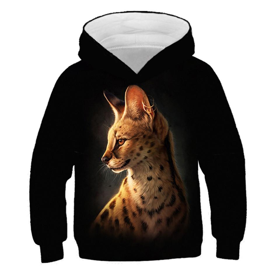 

Детские толстовки с красочным 3D-принтом «Космическая Галактика» для детей 4–13 лет, толстовки с принтом «прекрасные животные», «кошка, луна, рыба» для мальчиков и девочек, детские пуловеры, топы 120