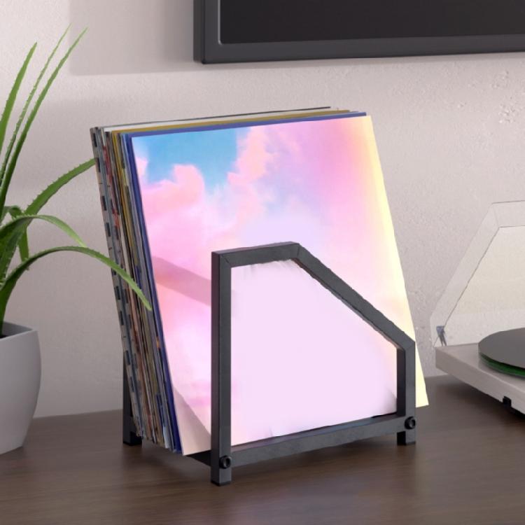 Contemporary Album Storage Unit Metal Frame Multi Degree Organization Structure Dust Resistant Easy Clean Outside
