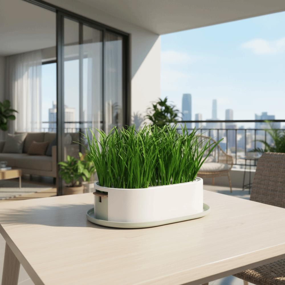 Removable Cat Grass Planter Box Layered Design Hydroponic Cat Grass Box  Home Decor