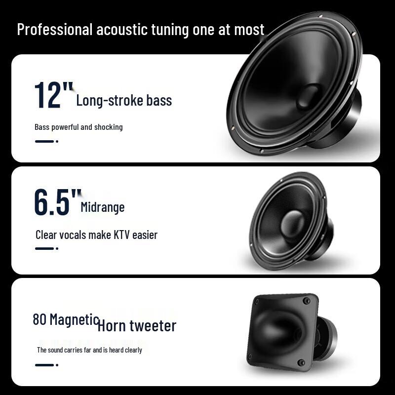 SAST SA-807 12-inch Portable Outdoor Bluetooth Speaker