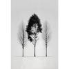 Minimalistisches Schwarz-Weiß Berg Baum Krähe Landschaft Poster Druck Leinwand Gemälde Abstrakt Wandkunst Wohnzimmer Heimdekor