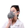 BaoWeiKang 3700 Dust Mask with Replaceable Filter for Industrial Use