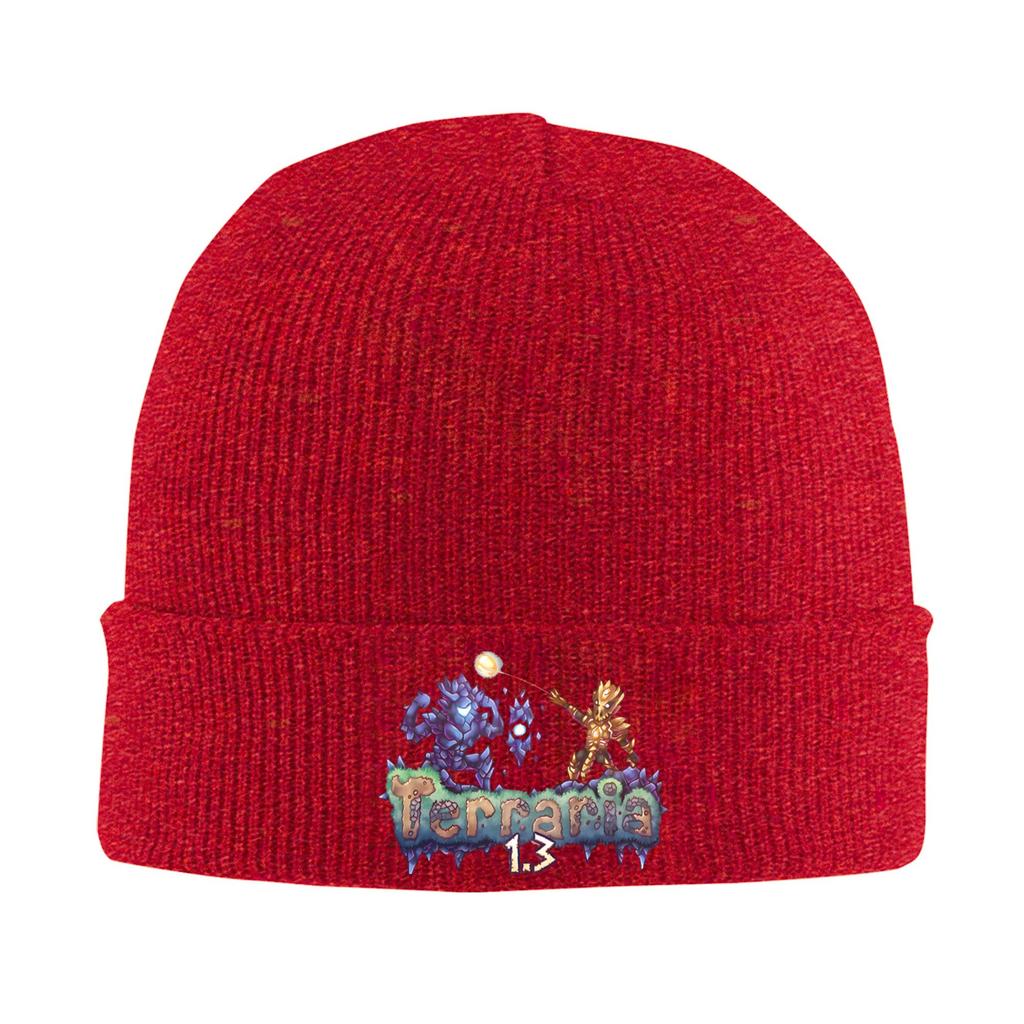 Great Model Terraria Game Christmas Bonnet Hats Beanie Hats Autumn Winter Graphic Knit Hat Street Y2K Men Women Sport Warm Cap