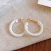 Vintage round leather leopard print earrings earrings fashionable personality simple earrings women