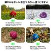 Kamlaku Golf Balls - Eye-catching Colors, 2-Piece Construction, High Rebound, Distance Balls, High Durability, Long Distance, 3-Pack12-Pack