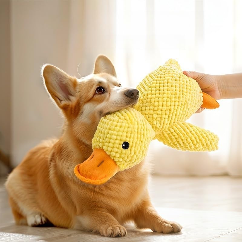 PETTENA Chew Toy for Sleep Dog Chew Toy Dogs, Aid, (L)