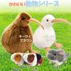 MIMIA Kiwi Kiwi Body Small Pets Pillow, Sleep, Relaxation, Gift, Animal, Fluffy, Large, Cute, Realistic, Children, (Kiwi White)