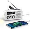 Greeshow Emergency Solar Hand Crank Radio AM/FM/SW with LED Flashlight SOS Alarm 2000mAh Power Bank