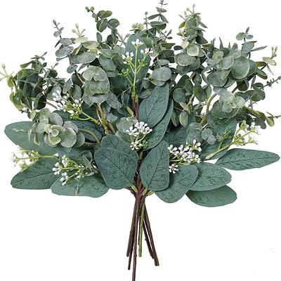 6Pcs Simulation Short Branch Eucalyptus With Fruit Eucalyptus Leaf Decoration Cuttings