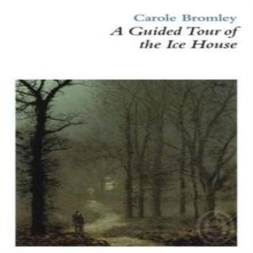 A Guided Tour of the Ice House Paperback Book 9781906613310
