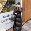 Shiny New Down Padded Jacket Women's Mid-length Thickened Long Over-the-knee Loose Black Jacket