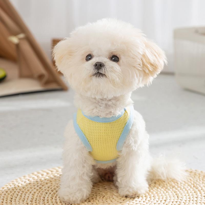 

Small hand pocket traction vest cute dog clothes small dog bipod pet clothing one piece XXL (recommended weight 15-10kg)