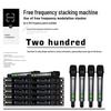 Wireless Professional Microphone Set with Anti-Howling for Karaoke, Meetings, and Performances