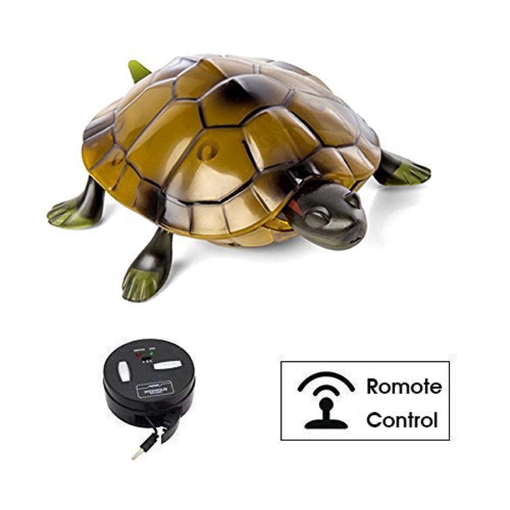 Lelebear turtle power shell