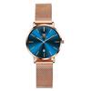 Women's Watch Fashion Analog Watch Simple Dial Waterproof Milanese Mesh Band