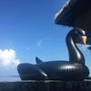 Cool 190cm Black Swan Giant Pool Float Inflatable Circle Swimming Rings Ride-On Inflat Mattress Floating Bed Summer Party Pool