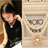 Pearl Petal Camellia Flower Double Layer Short Necklace for Women, Korean Fashion Versatile Collarbone Chain C149
