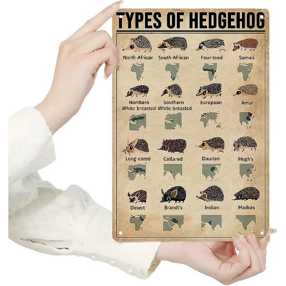 Homely Accents Vintage Farmhouse Decor Metal Signs, Types Of Hedgehog, Educational Art Poster Tin Signs for Bathroom Yard Wall Decor, for Kids