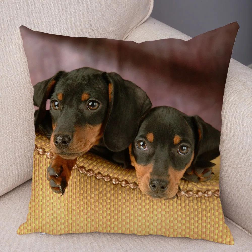 Mini Dackel Hund Kissenbezug Dekor Haustier Tier Kissenbezüge Superweicher Plüsch Kissenbezug für Sofa Zuhause Kinderzimmer 45x45cm