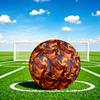 1pc Phoenix Theme Soccer Ball Football, Size 5, Lightweight PVC, Durable Outdoor Training Soccer Ball, Gift M61440
