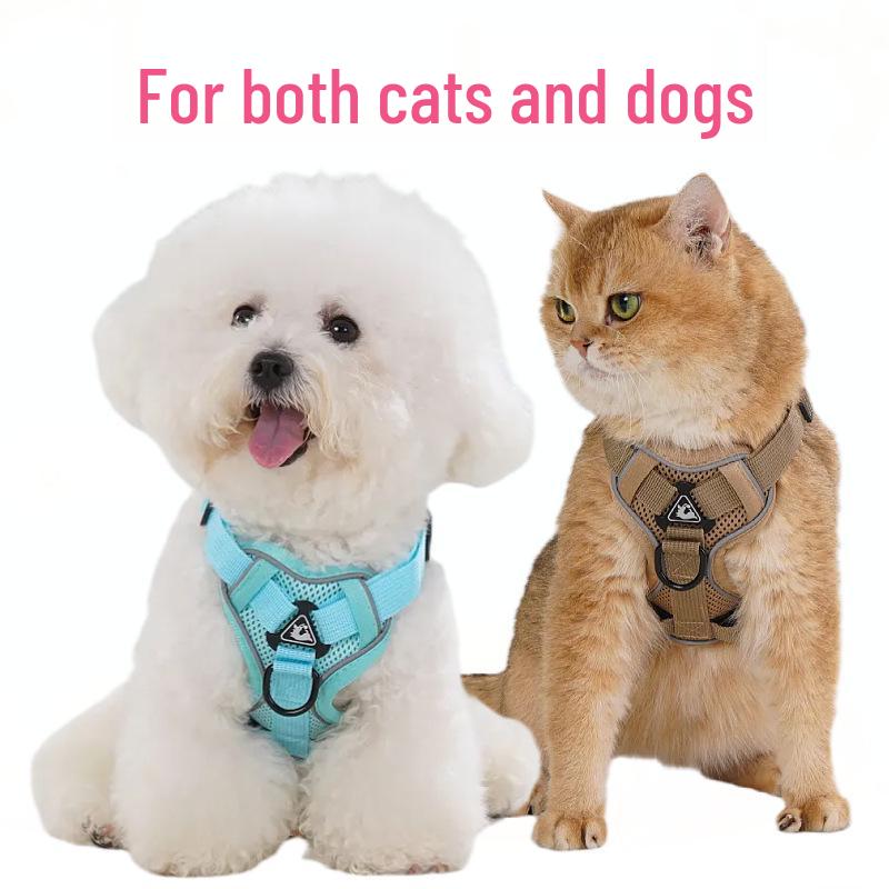 Universal Mesh Pet Harness & Leash for Cats and Small/Medium Dogs