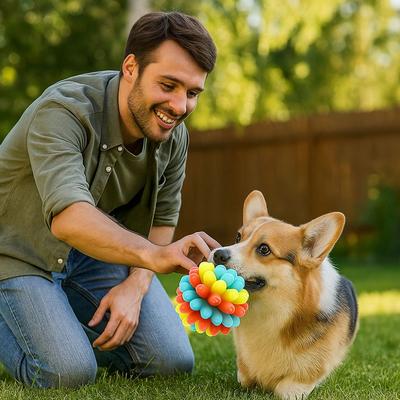 Funny Bite Resistant Dog Elastic Ball Colorful High Elastic Dog Tooth Cleaning TPR Pet Chewing Training