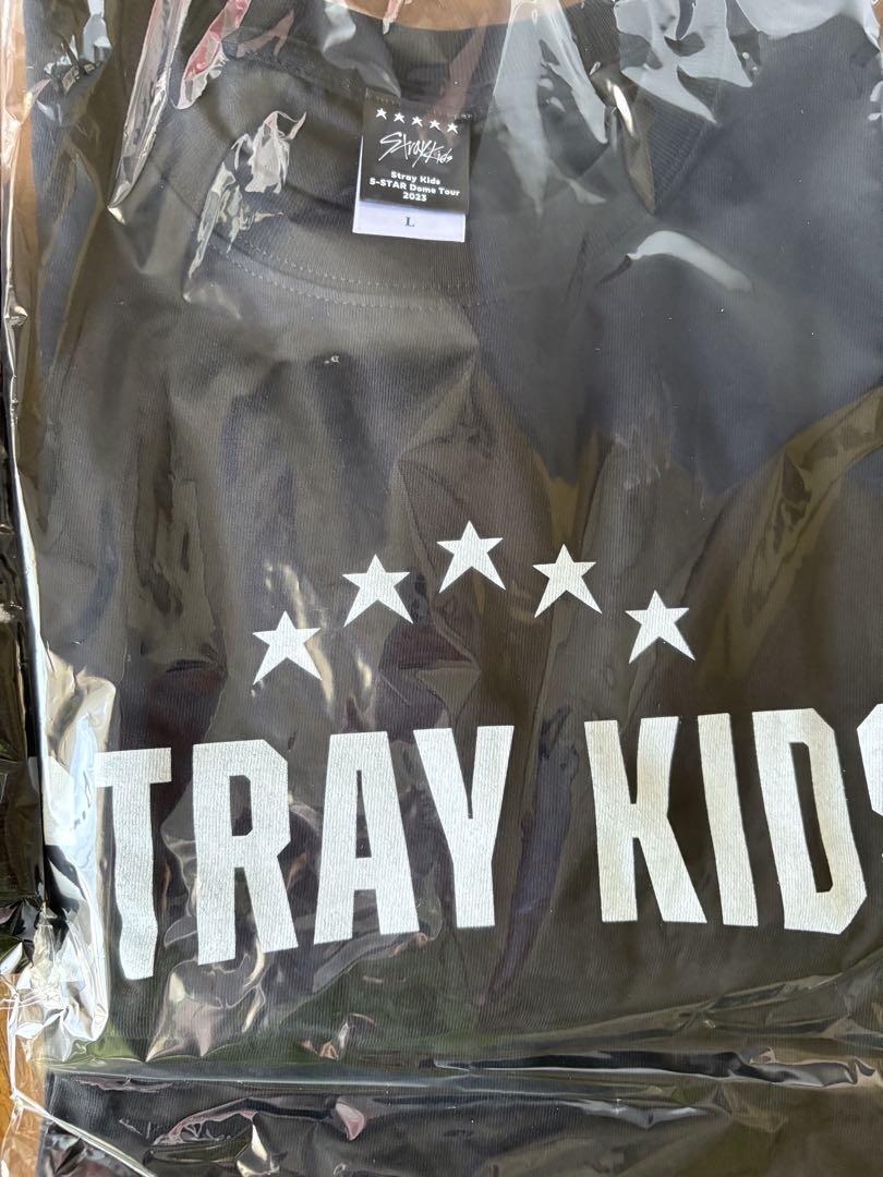 

[Б/У] Черная футболка Stray Kids, размер L, 2023