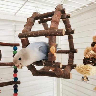 Papageien Kletterspielzeug Hohe Haltbarkeit Natürliche Formänderung Frei Bissfest Einfache Installation Dekoratives Holz Haustier Vogel Papagei Holzleiter Spielzeug